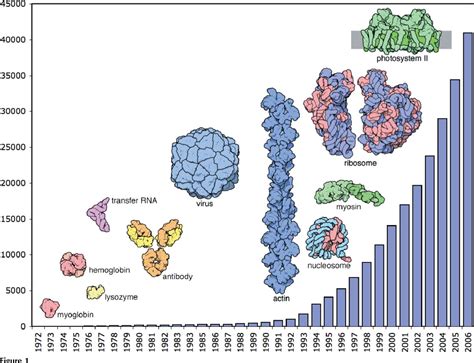 PDB 3hig structure summary ‹ Protein Data Bank in Europe .